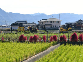 市道安井連絡線舗装工事