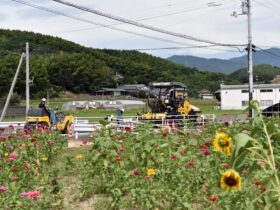 （通学路緊急対策工事）県道財田上高瀬線（財田工区）交通安全施設整備工事（第２工区）（舗装工）