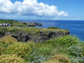 常磐建設㈱関西建設㈱沖縄合同研修旅行
