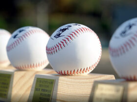 ベースボールアカデミーin香川　協賛　（2025年11月24日 観音寺総合運動公園)